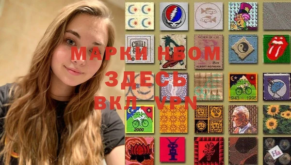прущие грибы Касимов