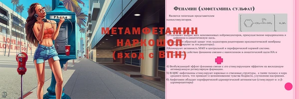 прущие грибы Касимов