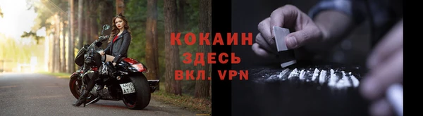 прущие грибы Касимов