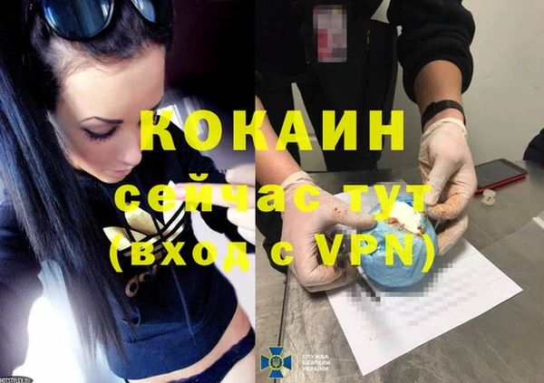 прущие грибы Касимов