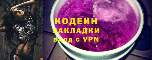 прущие грибы Касимов