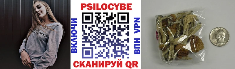 Псилоцибиновые грибы Magic Shrooms  Купить закладки  Каргополь 